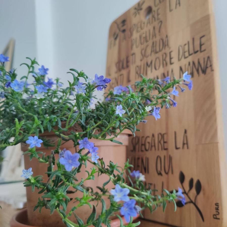 PURA B&b Noicattaro Bagian luar foto